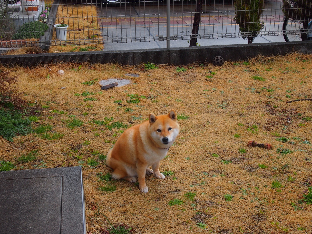 开云体育官方入口-_魔术队打出精彩配合，力克强敌_，魔术队战术